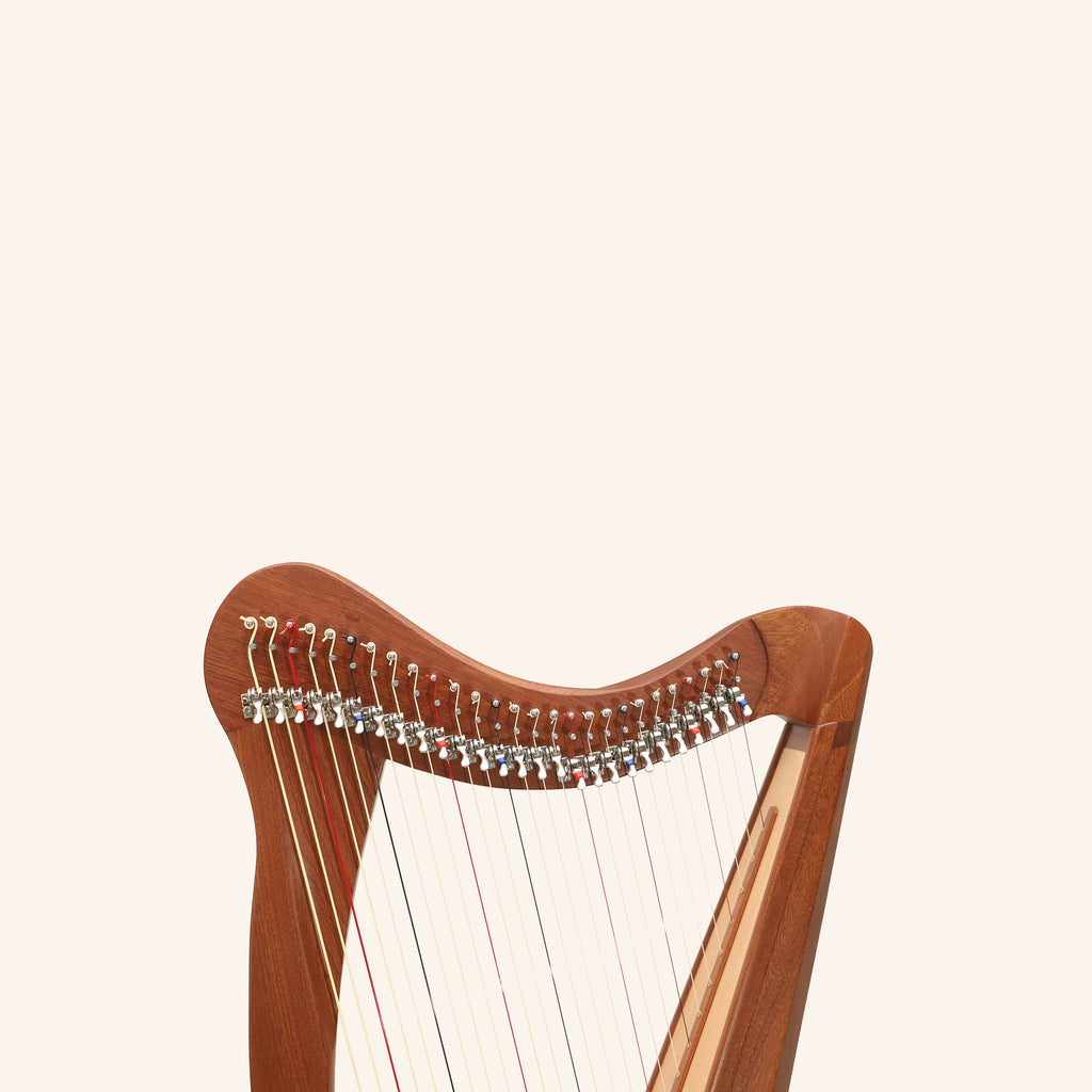 27 String Ard Ri Harp