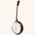 Heartland 4 String Banjo 19 Frets Irish Tenor Banjo 24 Bracket with Closed Solid Back