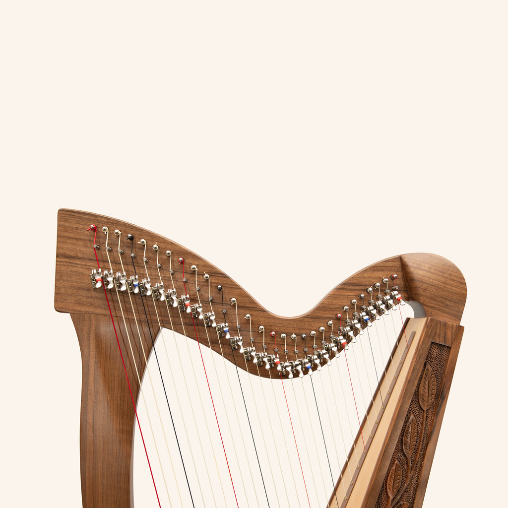29 String Trinity Harp, Celtic Lever Harp