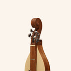 Mountain Dulcimer 4 String  F-Hole Rosewood With Nickel Finish Hardware