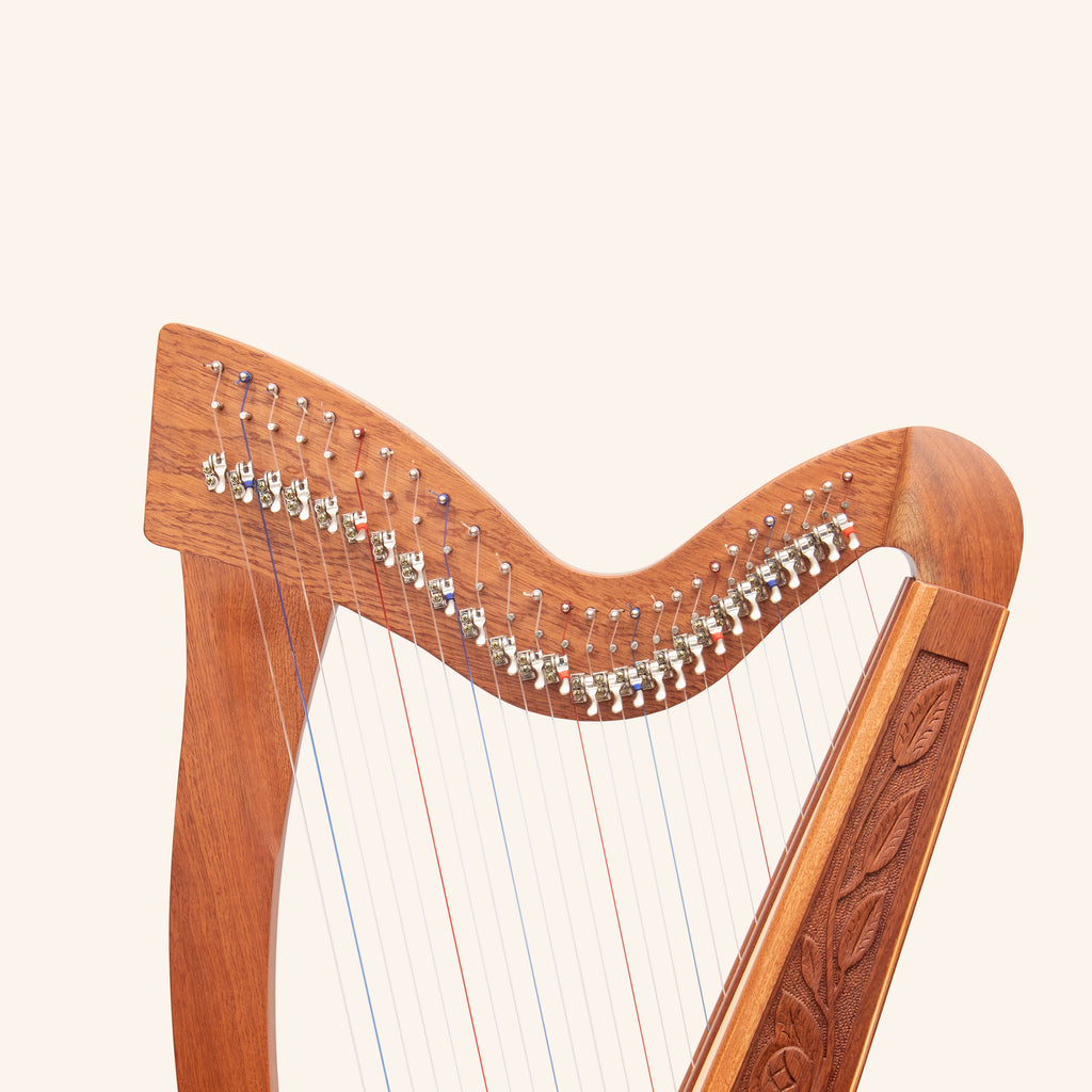 27 String Trinity Celtic Harp