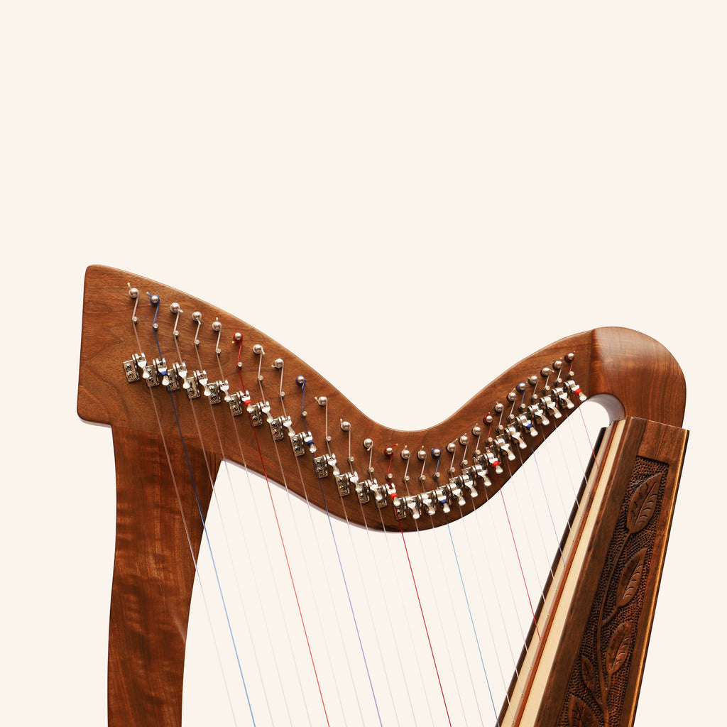 27 String Trinity Celtic Harp