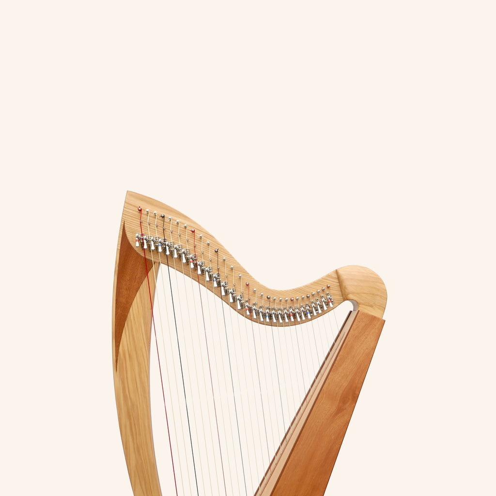 McHugh Atlas Harp 29 String Ash and Mahogany Squareback