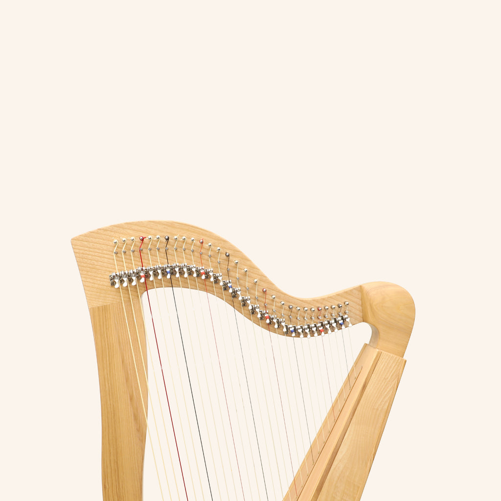 29 String McHugh Harp Square Back