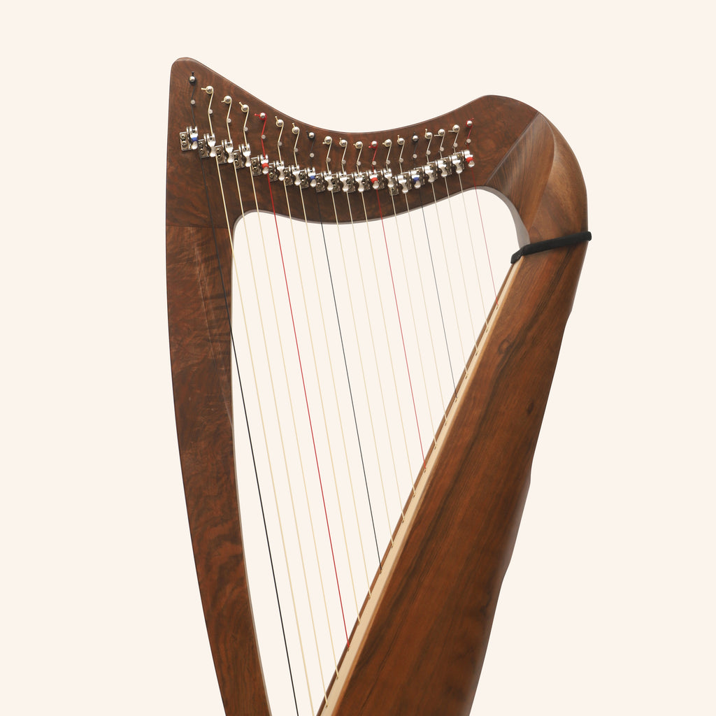 19 String Claddagh Harp