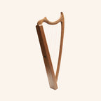29 String Gothic Harp