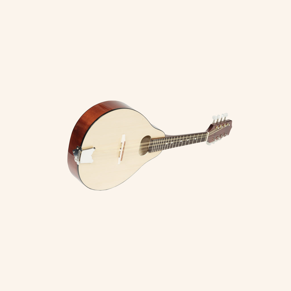 Muzikkon Modern Mandolin