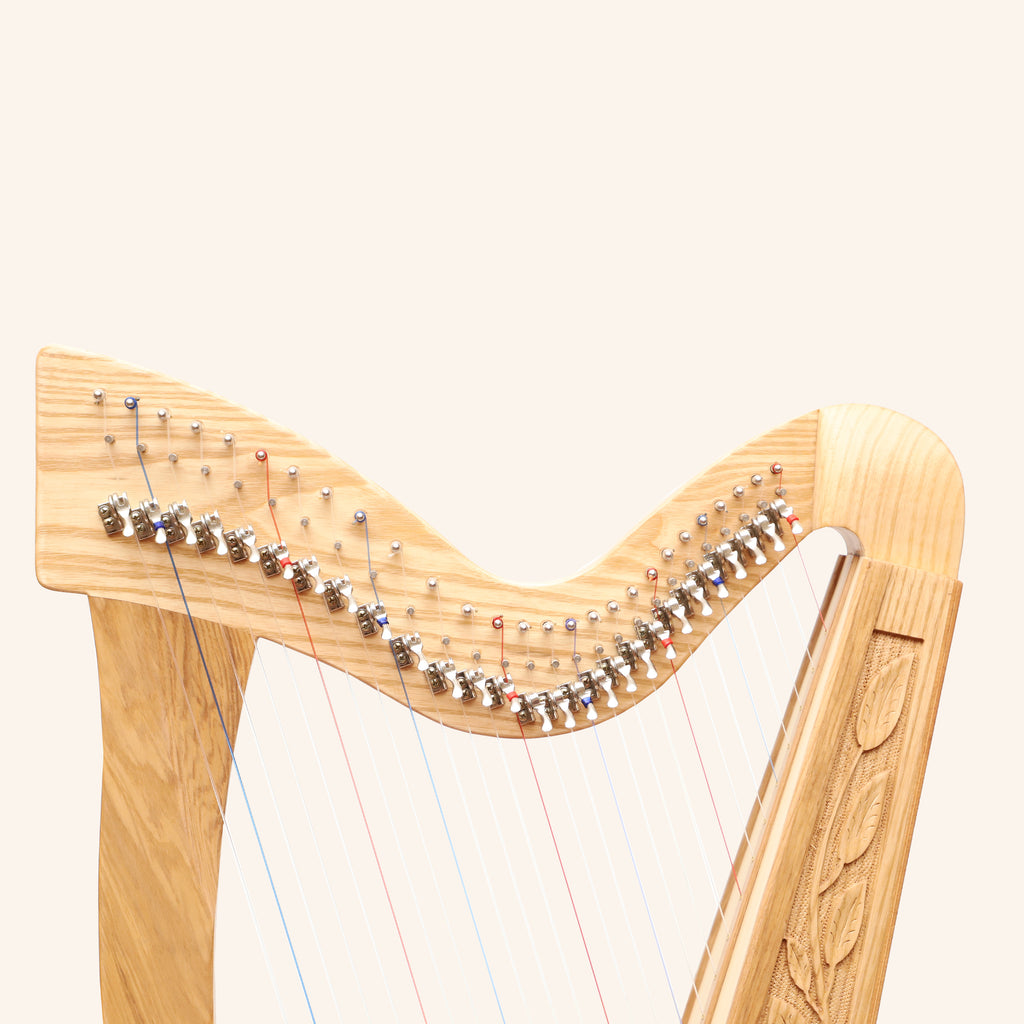 27 String Trinity Celtic Harp