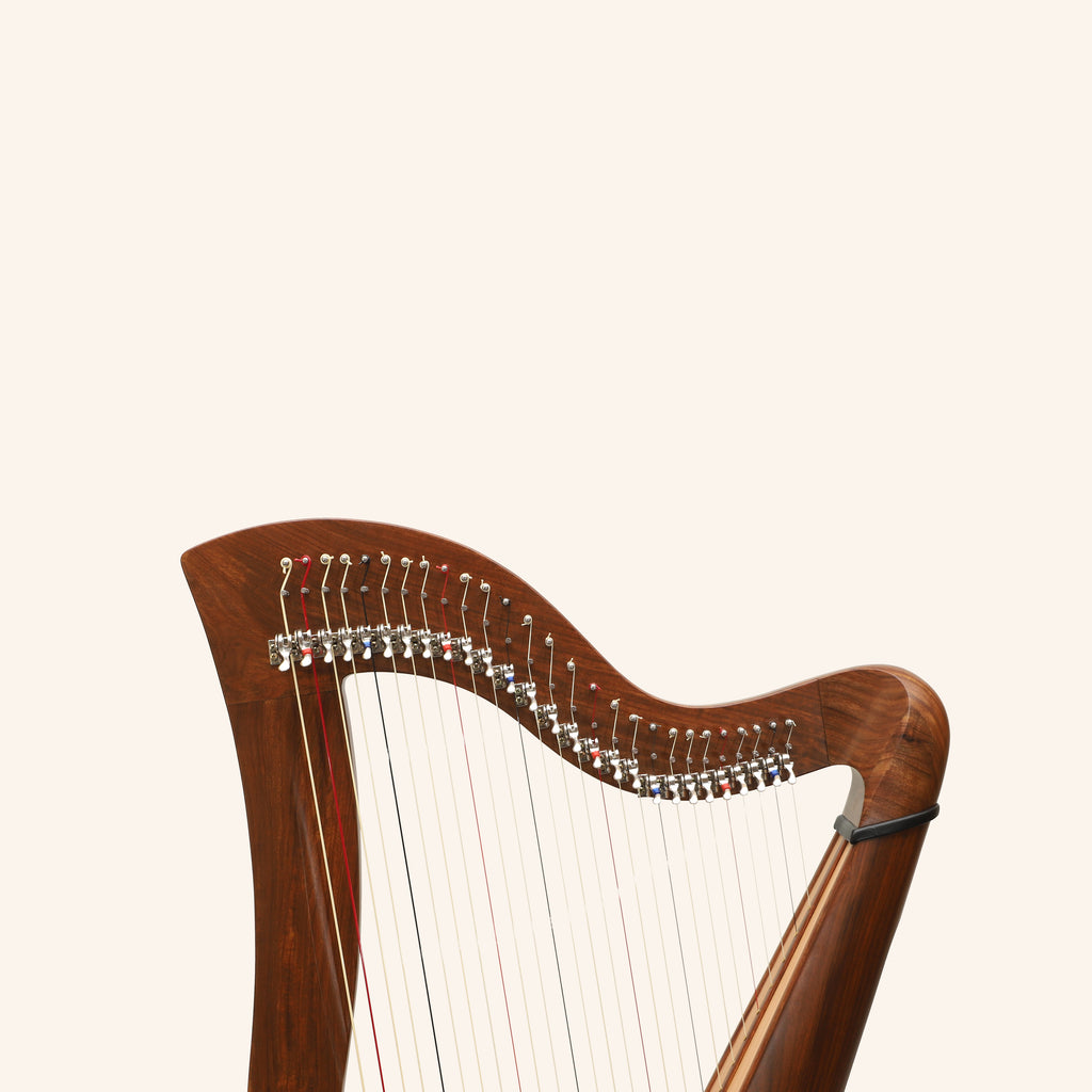 27 String McHugh Harp Round Back