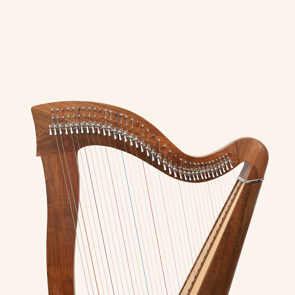 Mchugh Ayra Harp 38 Strings Walnut
