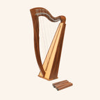 29 String McHugh Harp Square Back
