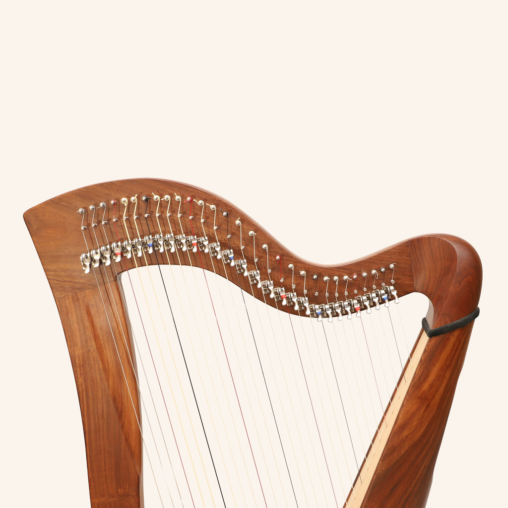 29 Strings McHugh Harp Round Back