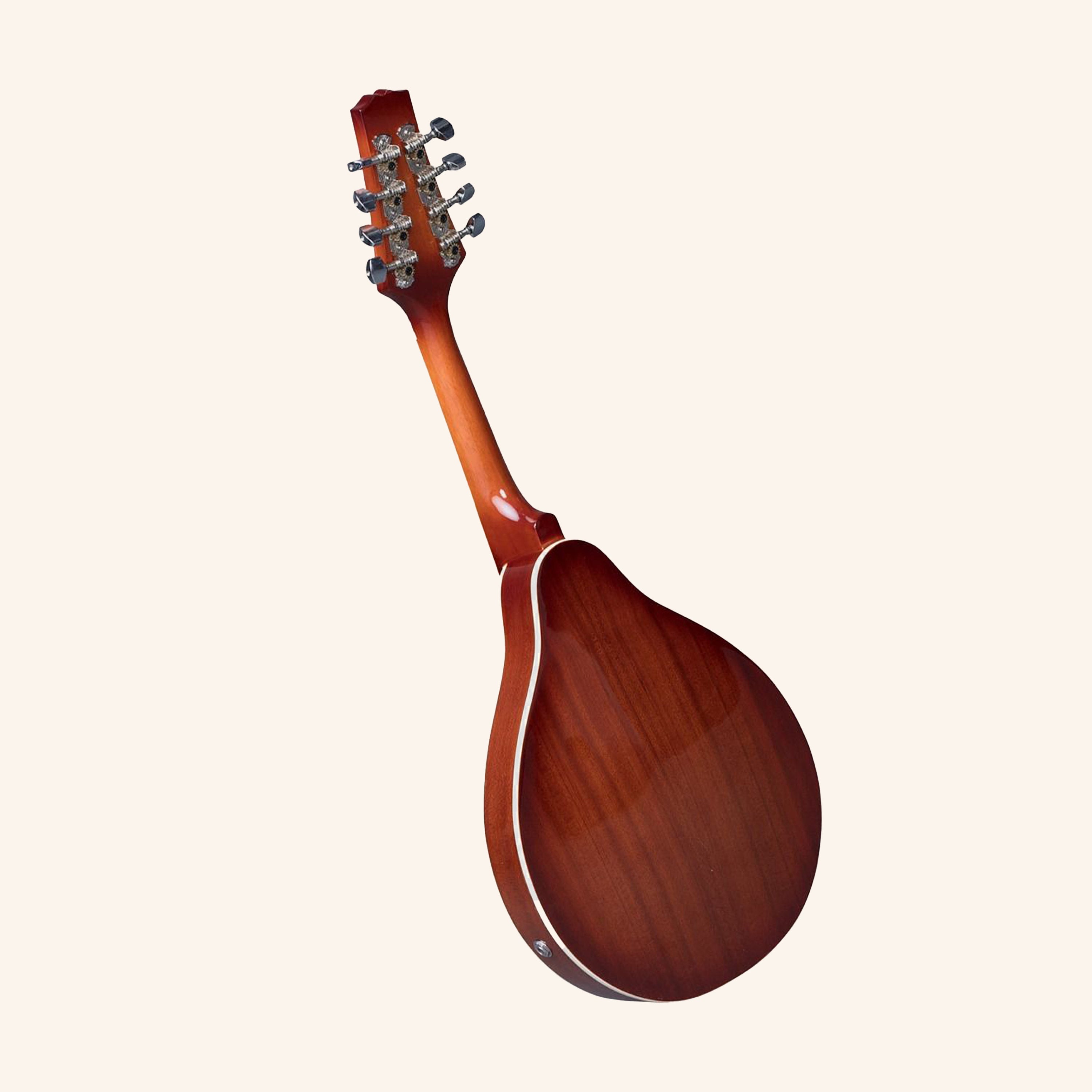 Heartland Mandolin Mahogany Electro Acoustic Gloss Finish