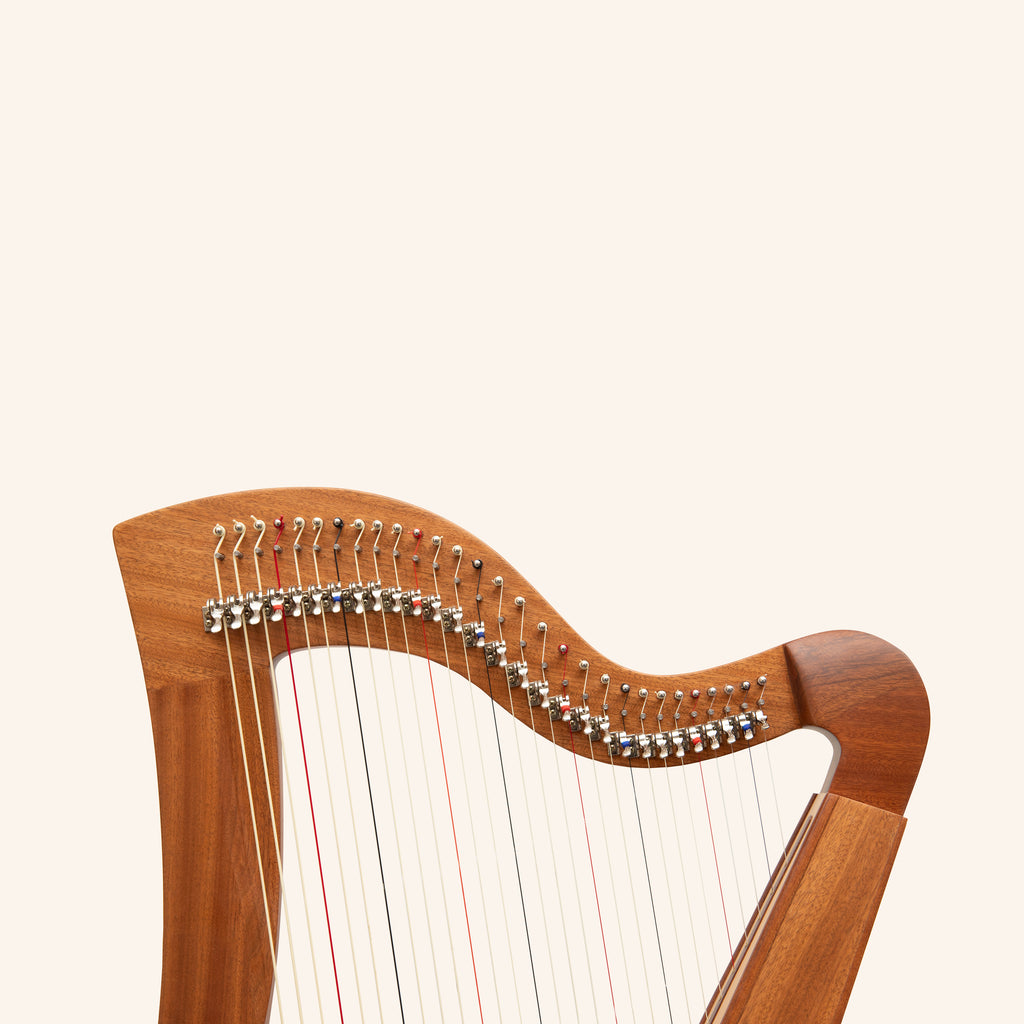 29 String McHugh Harp Square Back