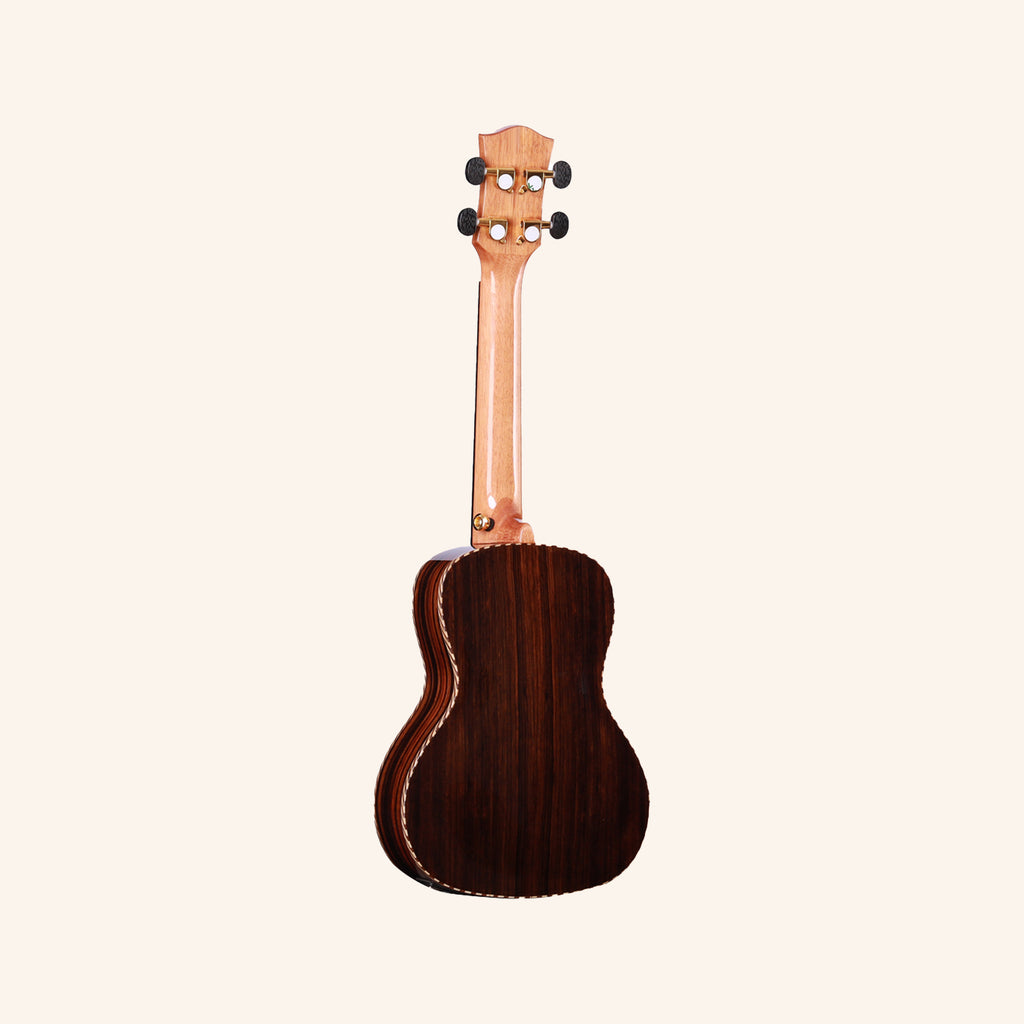 Heartland Concert Ukulele Ebony with EQ