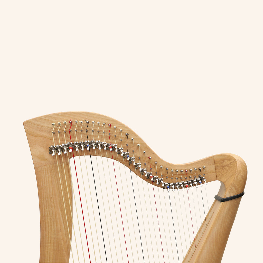 29 Strings McHugh Harp Round Back