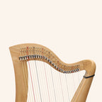 29 Strings McHugh Harp Round Back