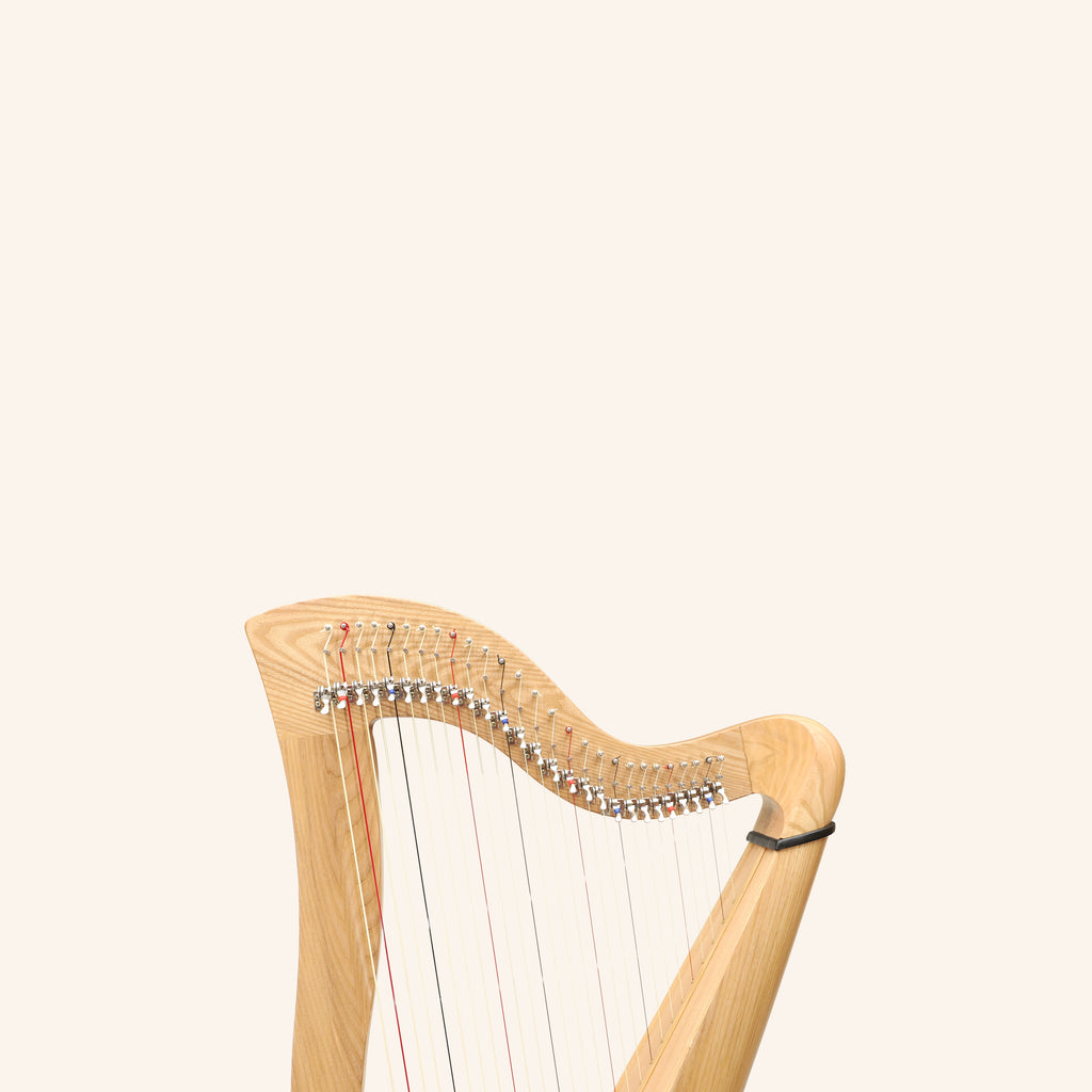 27 String McHugh Harp Round Back