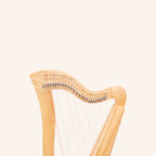 27 String Mchugh Harp Square Back