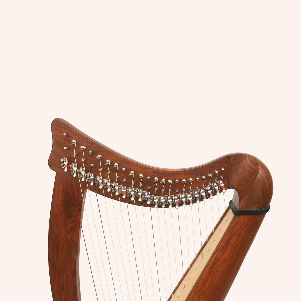 22 String Claddagh Busker Harp