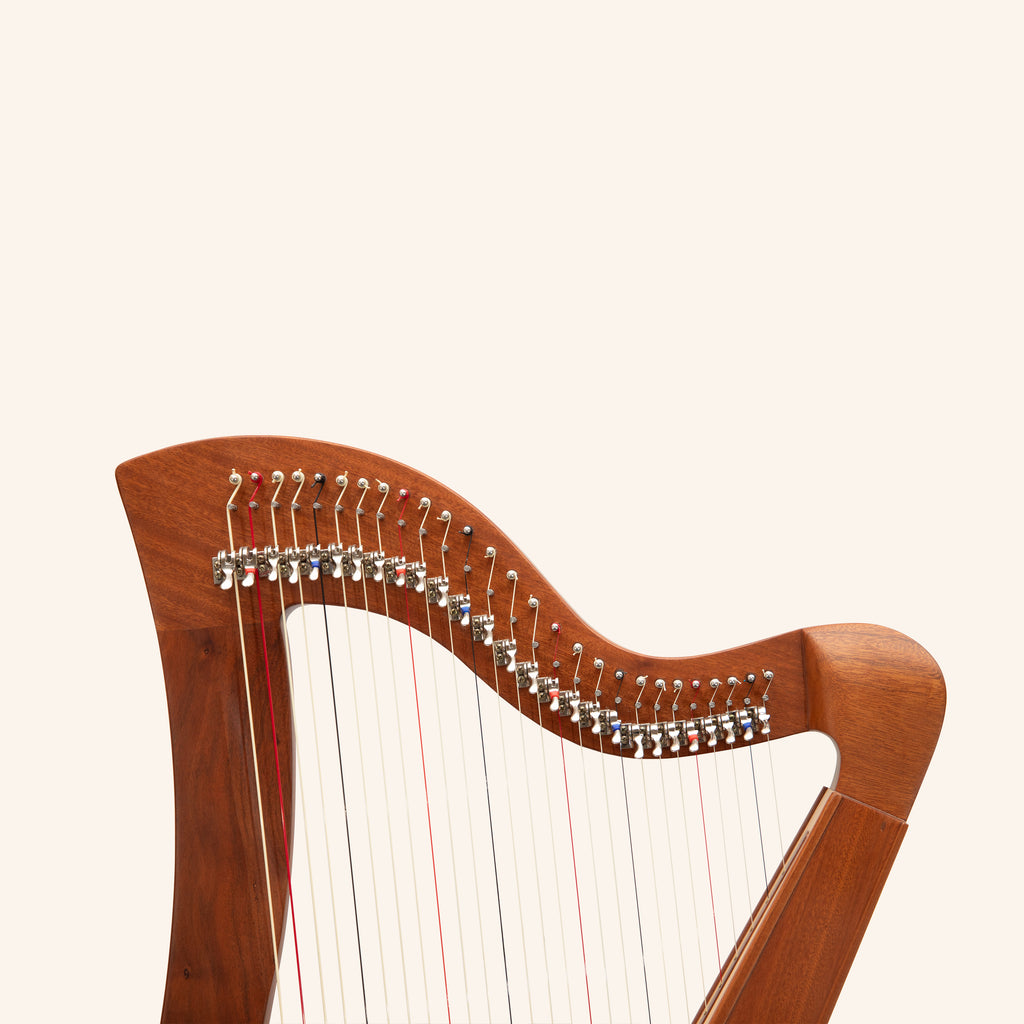27 String Mchugh Harp Square Back