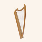 29 String Gothic Harp