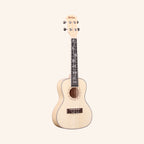 Heartland Concert Ukulele Flamed Maple