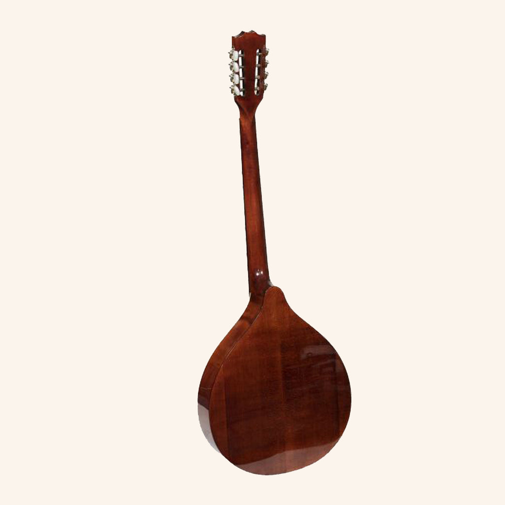 Muzikkon Octave mandolin
