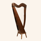 29 Strings McHugh Harp Round Back