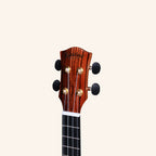 Heartland Tenor Ukulele Ebony with EQ