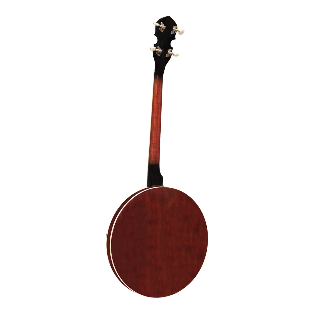 Heartland 4 String Banjo 19 Frets Irish Tenor Banjo Left Handed 24 Bracket With Closed Solid Back