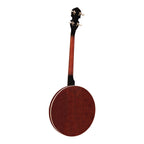 Heartland 4 String Banjo 19 Frets Irish Tenor Banjo Left Handed 24 Bracket With Closed Solid Back