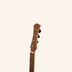 Heartland Wildwood Dulcimer Banjo, 4 String