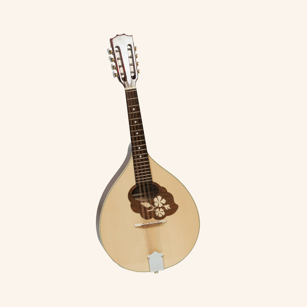 Muzikkon Mandola