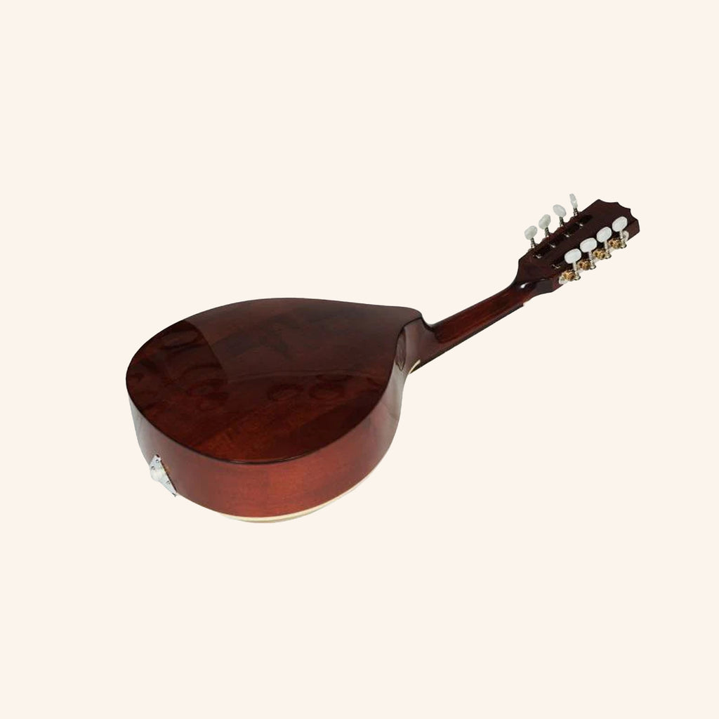 Muzikkon Portuguese mandolin 1