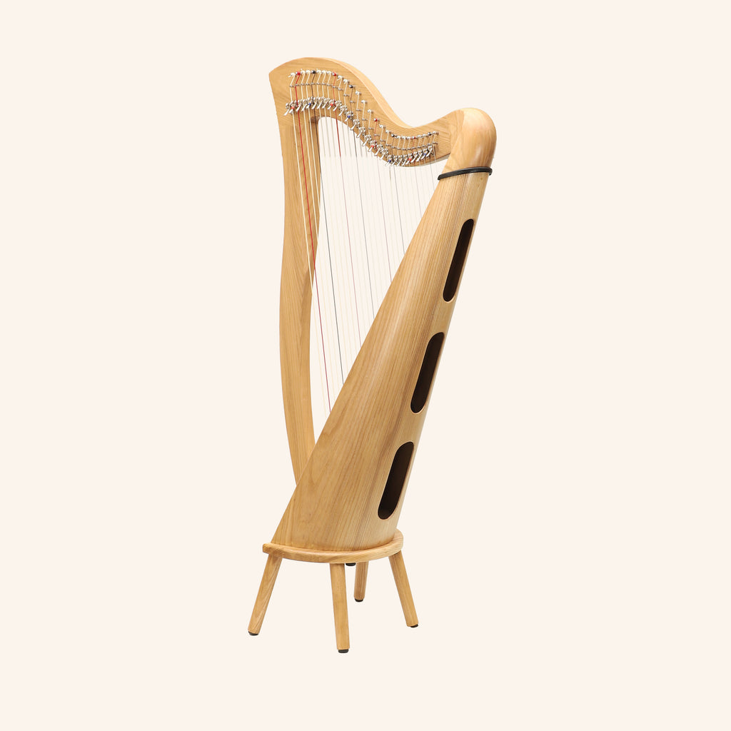 27 String McHugh Harp Round Back