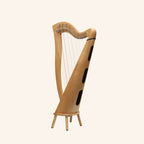 29 Strings McHugh Harp Round Back
