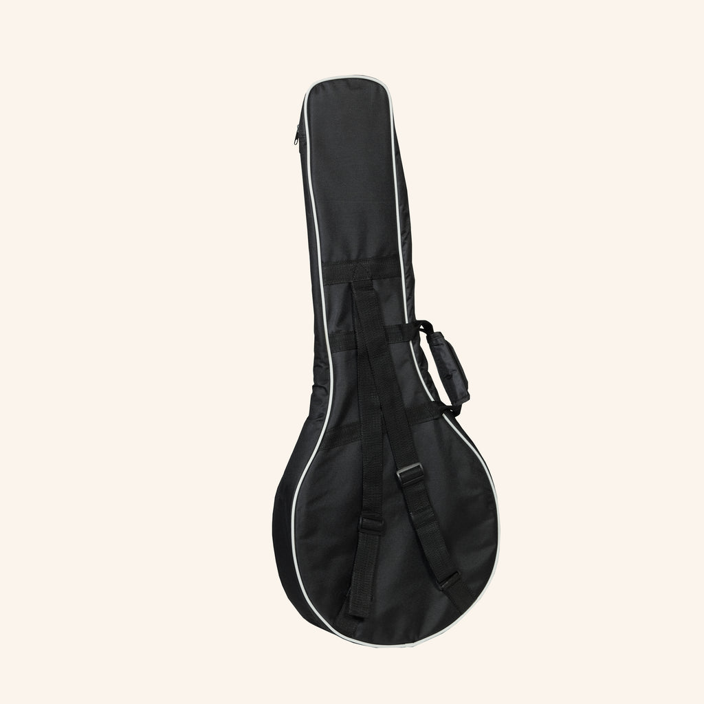 Heartland 4 String Tenor Banjo Nylon Gig Bag