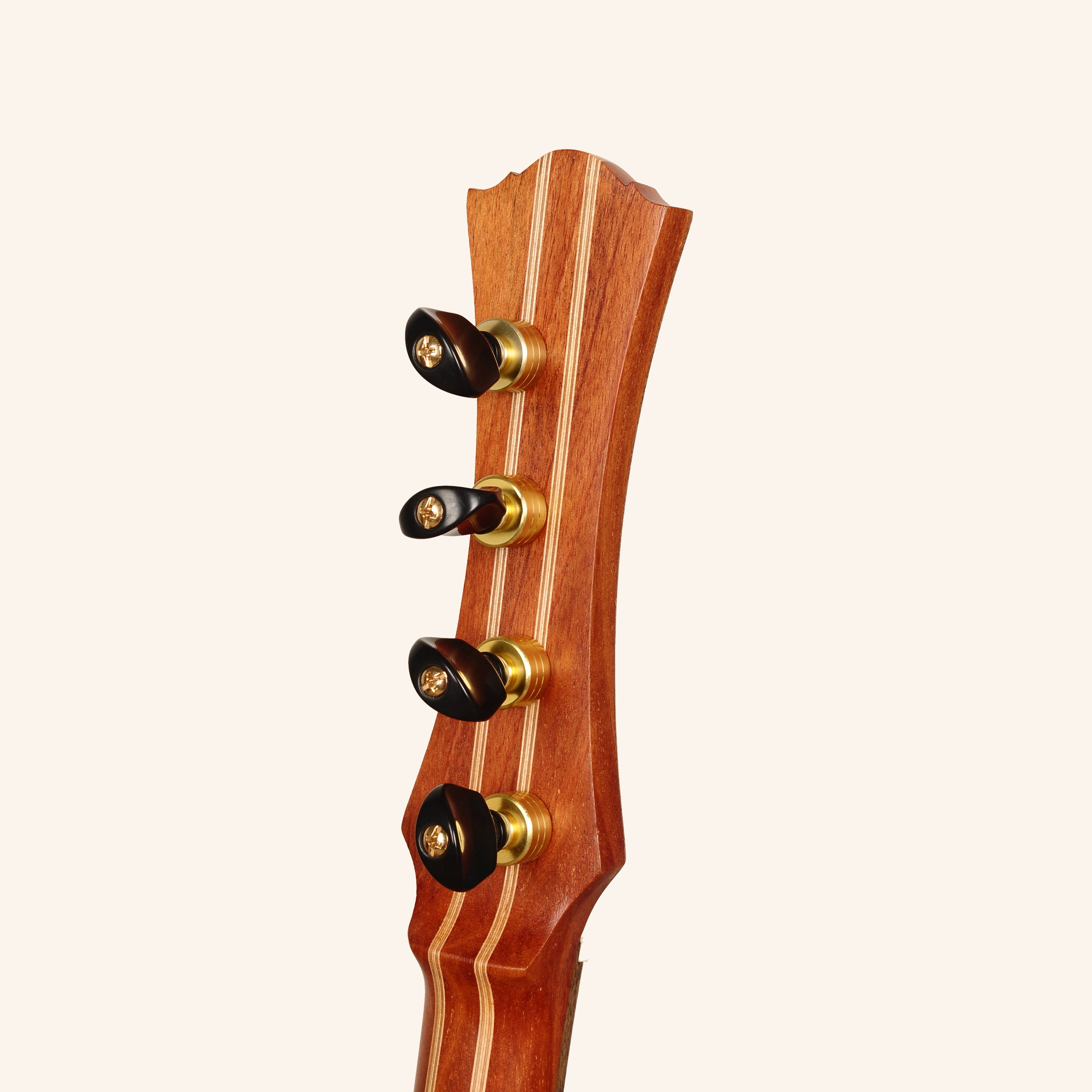 Heartland Trail Dulcimer Banjo, 4 String Lacewood