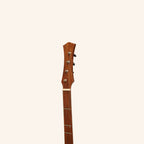 Heartland Wildwood Dulcimer Banjo, 4 String