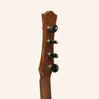 Heartland Wildwood Dulcimer Banjo, 4 String