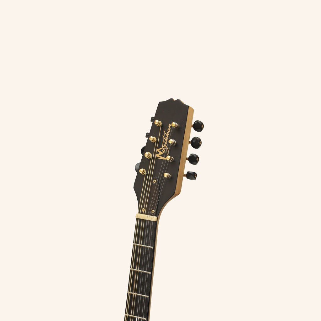 Traditional Irish Bouzouki, 8 String
