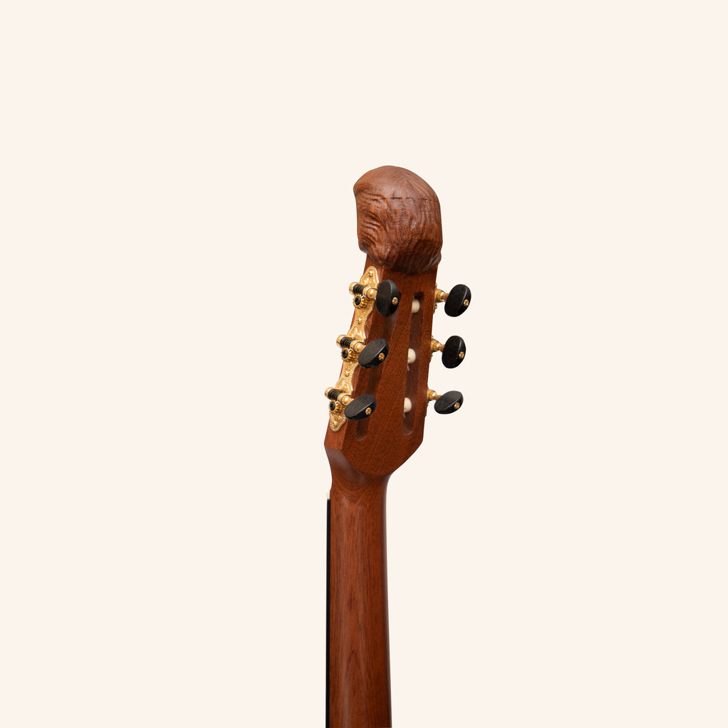 Muzikkon Lute Guitar, 6 Steel Strings Variegated Lacewood Rosewood Left Handed