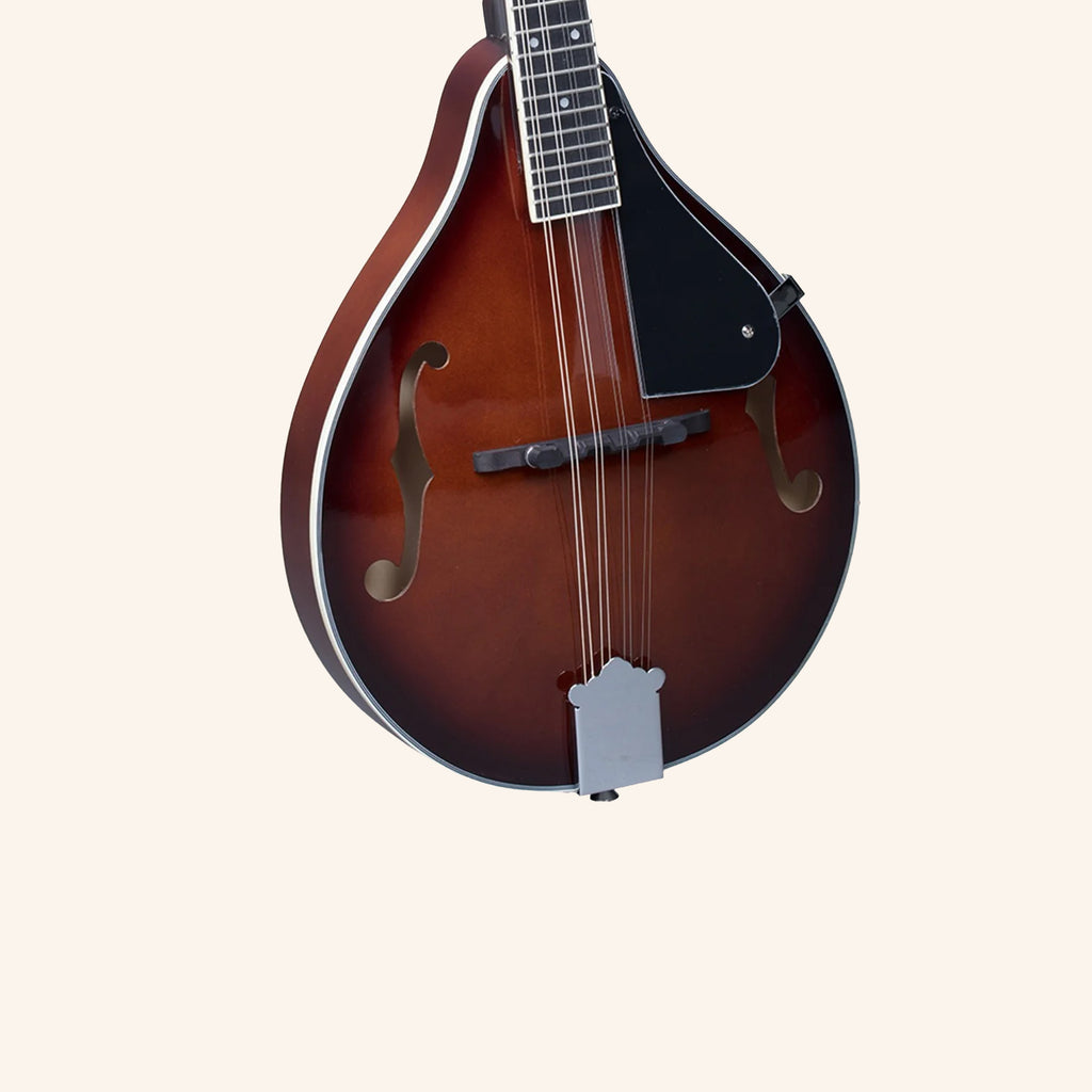 Heartland Mandolin Linden Acoustic Matt Finish