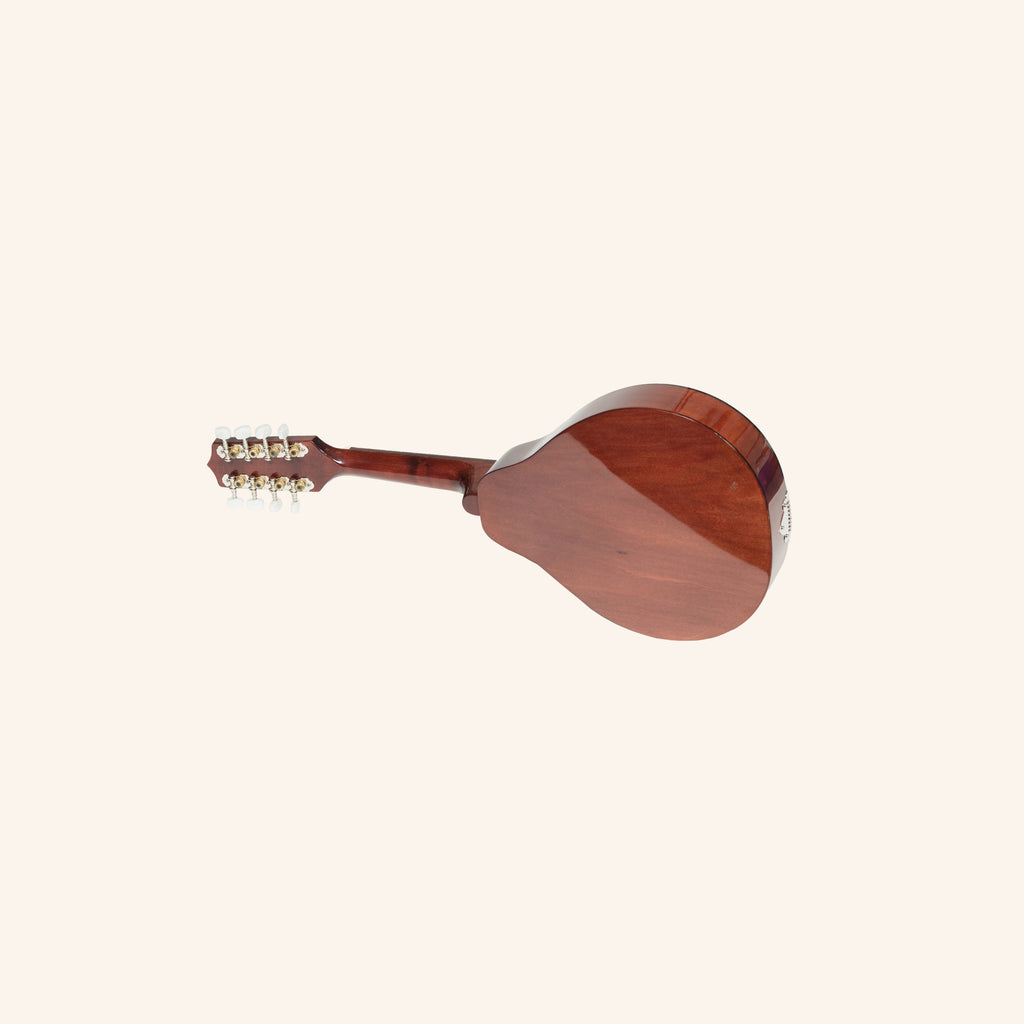 Muzikkon Modern Mandolin