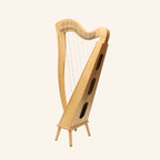 29 String McHugh Harp Square Back