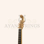 4 Course Renaissance Cittern Maple by Muzikkon - Stringed Instruments