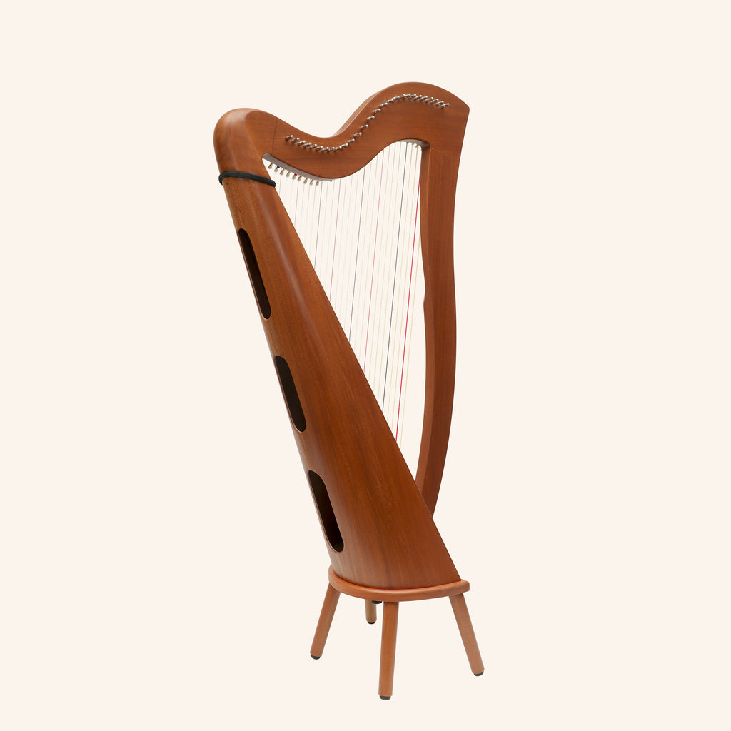 27 String McHugh Harp Round Back