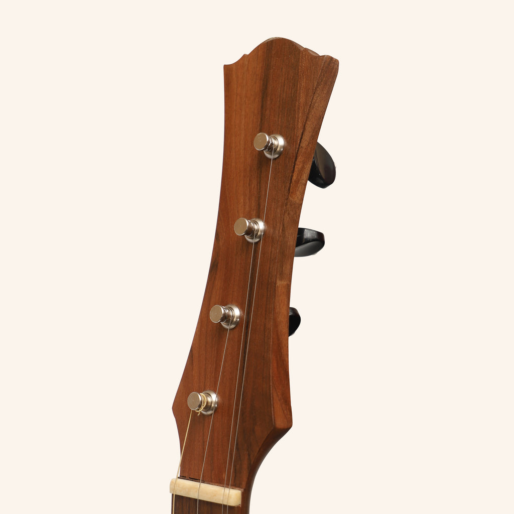 Heartland Wildwood Dulcimer Banjo, 4 String