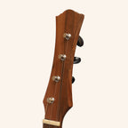 Heartland Wildwood Dulcimer Banjo, 4 String